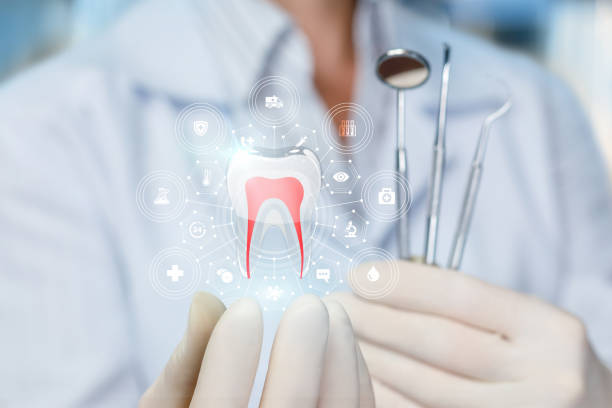 Best Traditional Braces  in Robinwood, MD