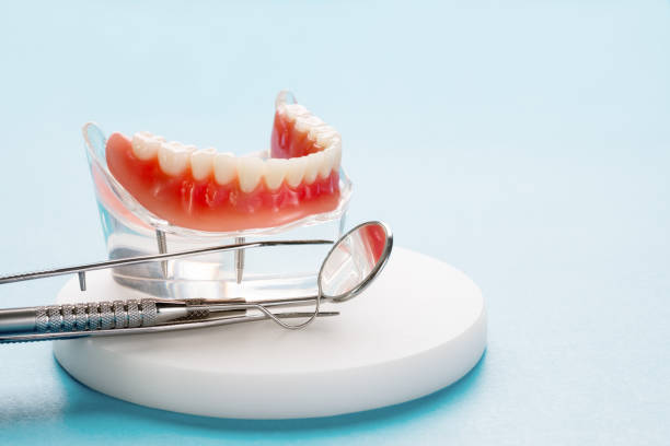 Robinwood, MD  Holistic Dental Services Company